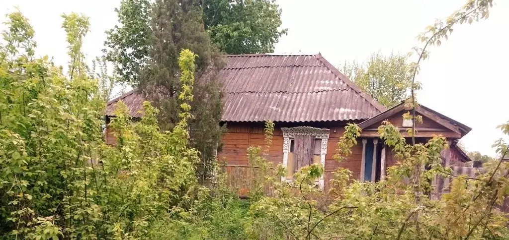 Участок в Брянская область, Дятьковский район, Любохна рп ул. ... - Фото 1