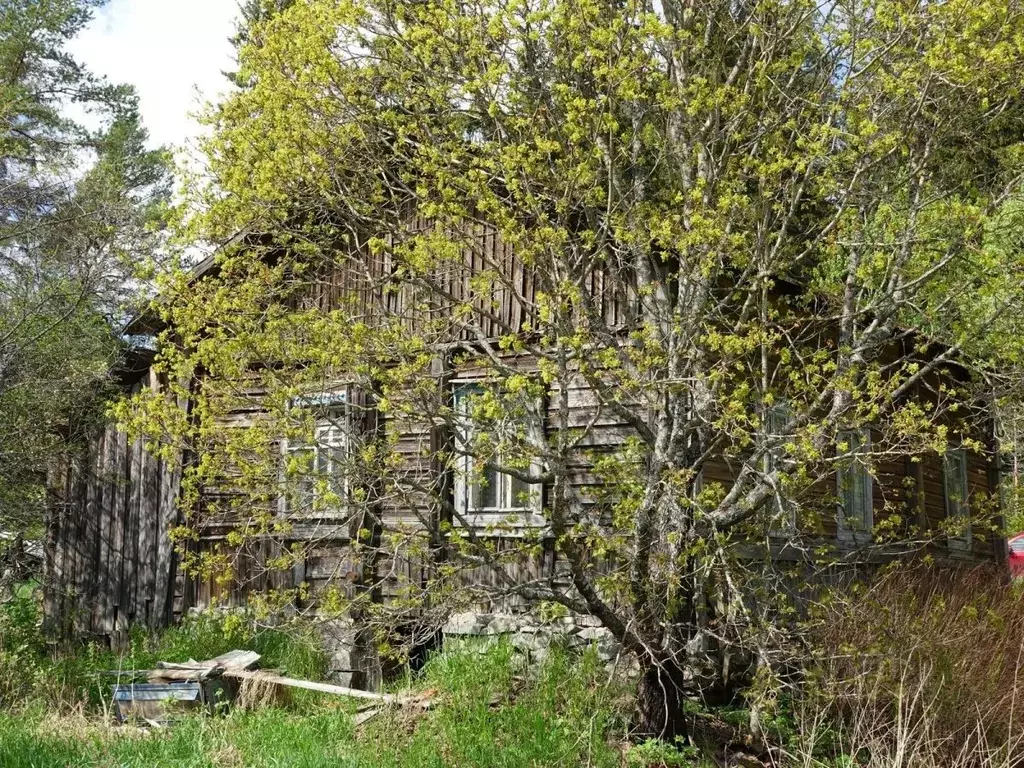 Дом в Карелия, Сортавальский муниципальный округ, Хелюля пгт ул. ... - Фото 1