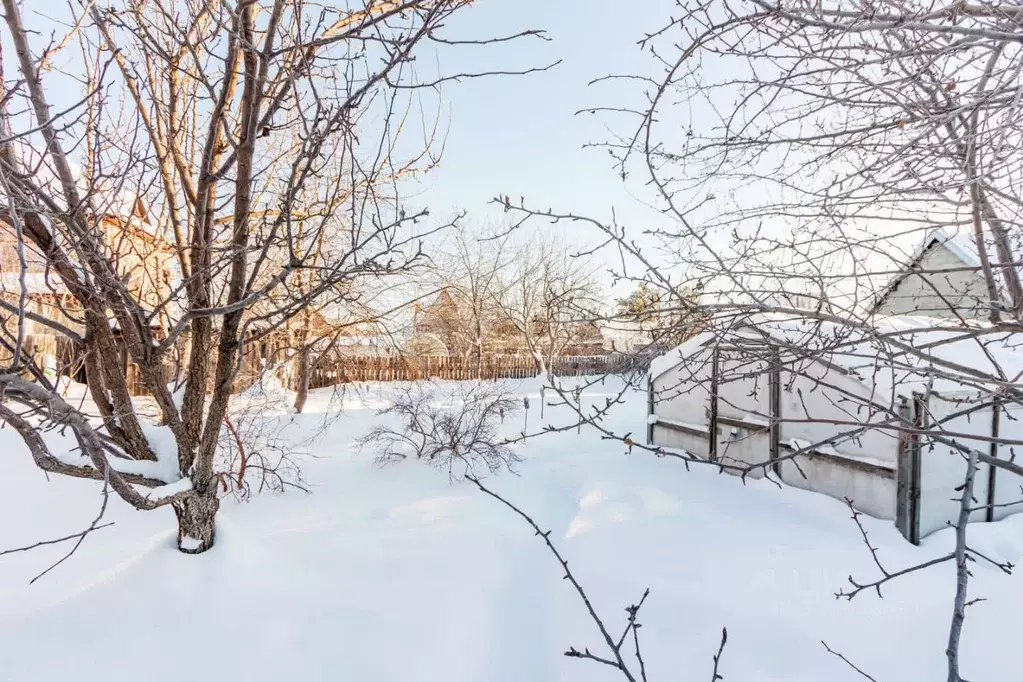 Участок в Тюменская область, Тюмень Надежда-3 СНТ, ул. Яблоневая, 132 ... - Фото 1