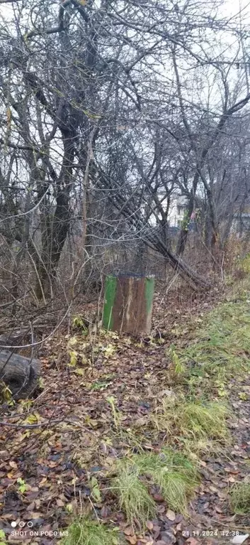 Участок в Нижегородская область, Нижний Новгород Медик СНТ,  (5.0 ... - Фото 1