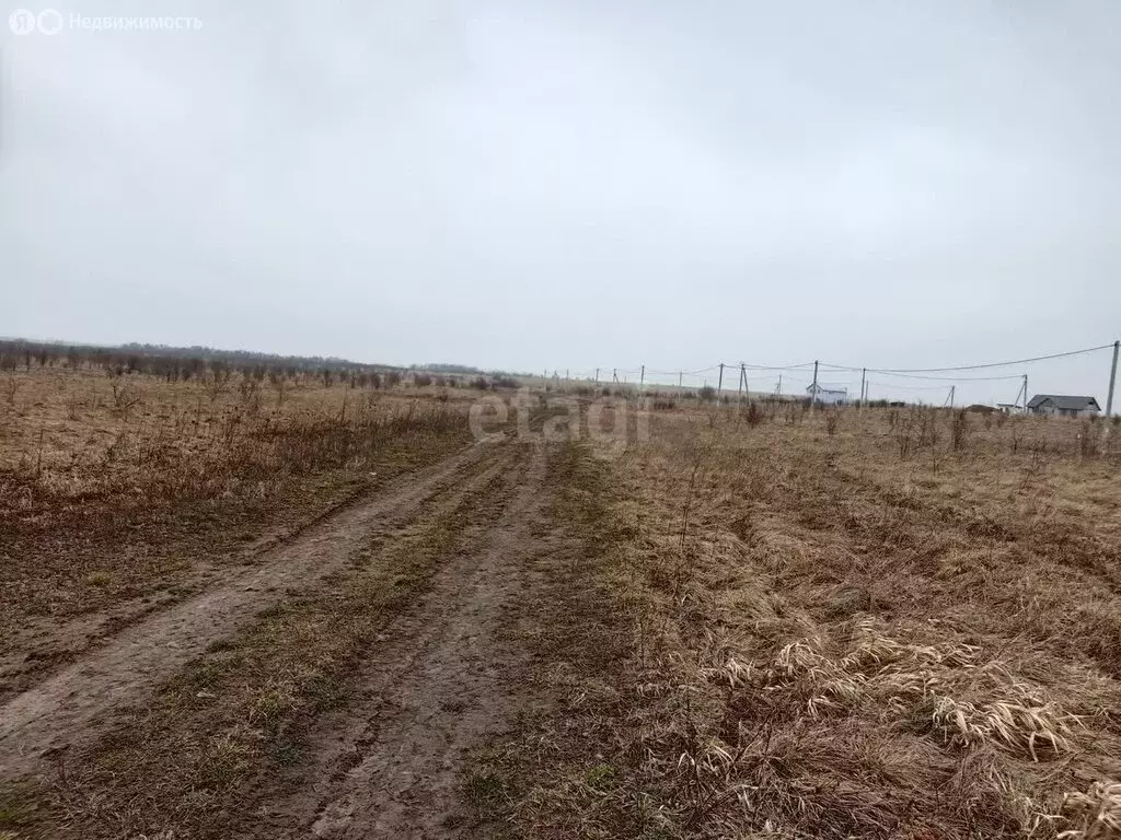 Участок в Калининградская область, Гурьевский муниципальный округ, ... - Фото 1