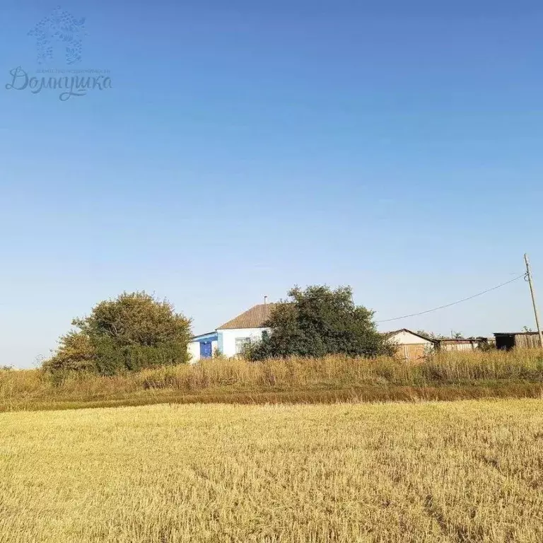 Дом в Воронежская область, Верхнехавский район, с. Плясоватка Заречная ... - Фото 2