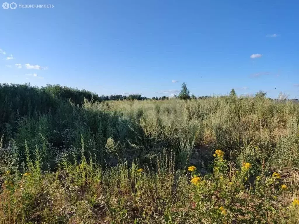 Участок в Медведевский район, Руэмское сельское поселение, деревня ... - Фото 2