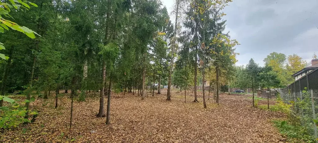 Продается участок в д. Сазонки - Фото 1