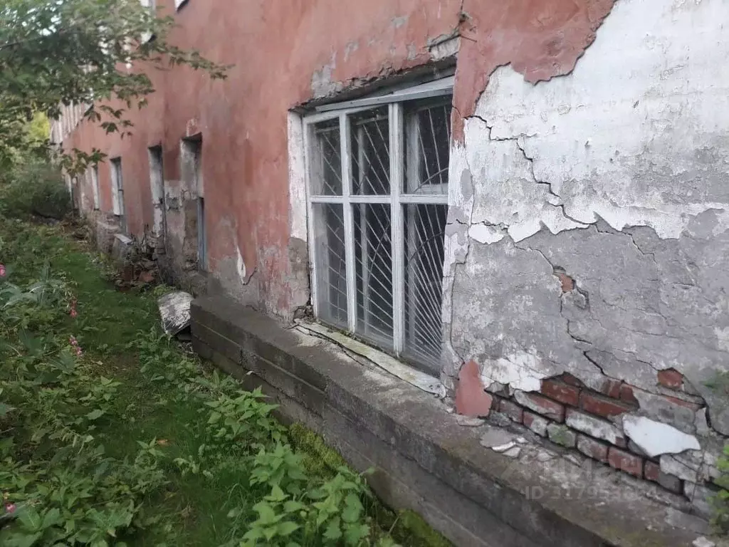 Помещение свободного назначения в Алтайский край, Зональный район, с. ... - Фото 0