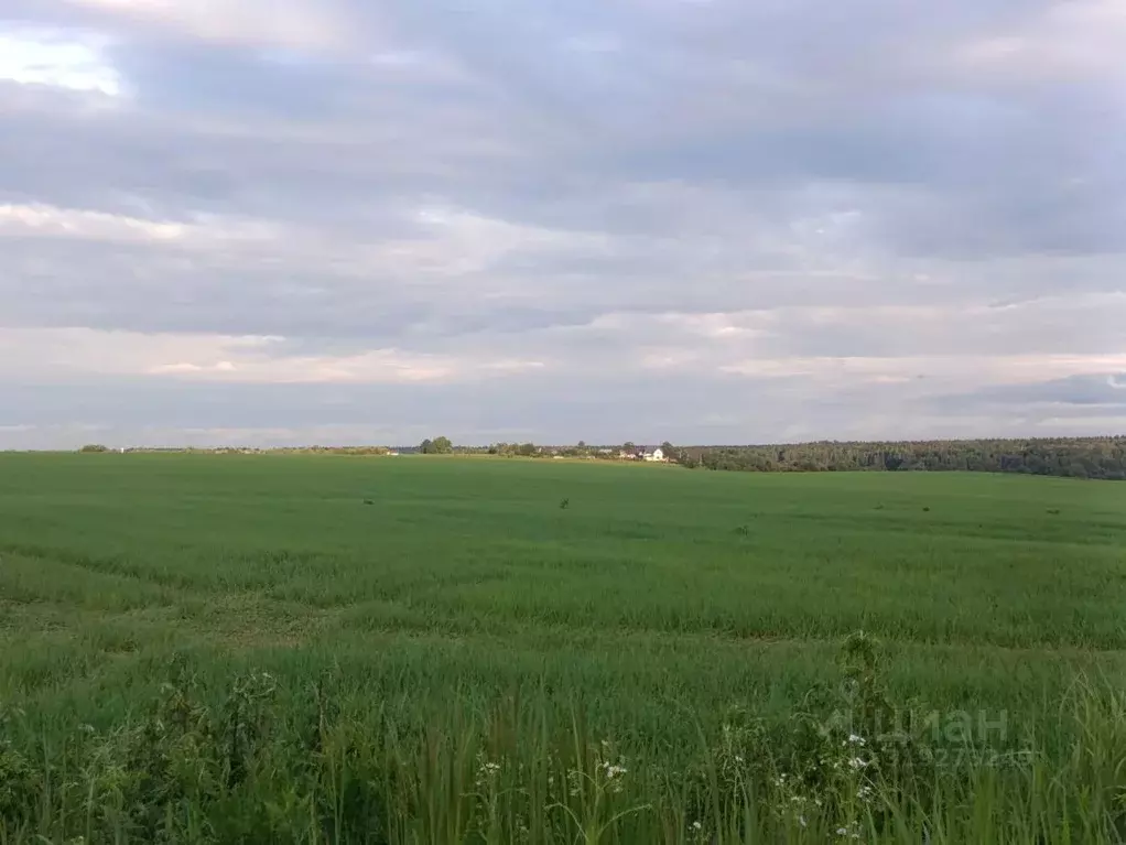 Участок в Калужская область, Жуковский район, с. Тарутино Новая ул. ... - Фото 0