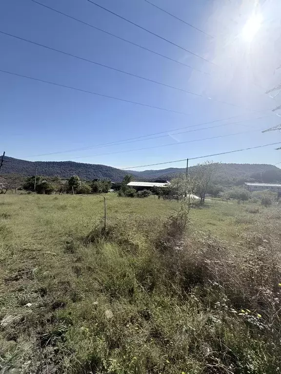 Участок в Краснодарский край, Сочи городской округ, с. Красная Воля  ... - Фото 1