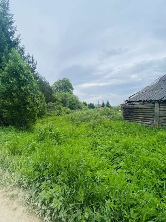 Участок в Новгородская область, Новгородский район, Савинское с/пос, ... - Фото 0