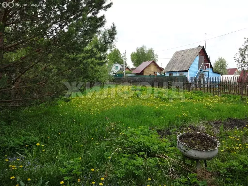 Участок в Тогучинский район, СНТ Кондитер (4.37 м) - Фото 1