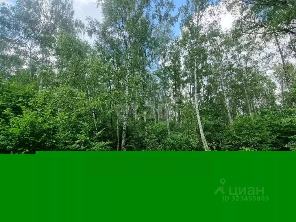 Участок в Калужская область, Жуковский муниципальный округ, с. ... - Фото 2