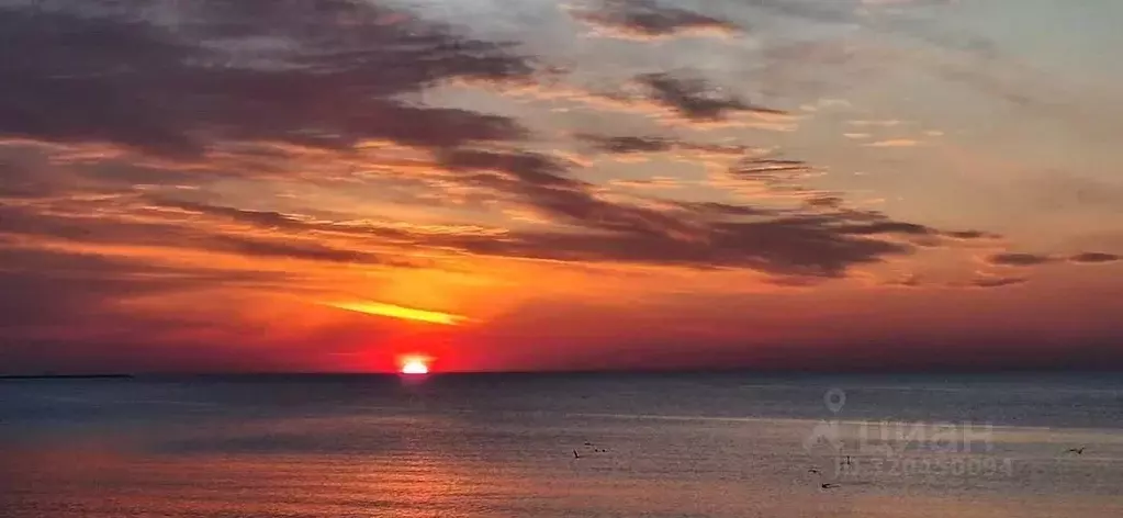 Коттедж в Калининградская область, Светлогорск ул. Нахимова, 1 (632 м) - Фото 2