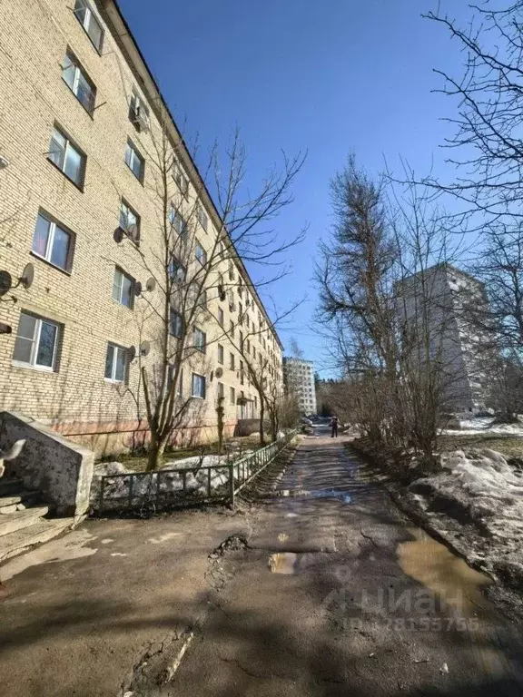 Студия Московская область, Солнечногорск городской округ, Менделеево ... - Фото 1