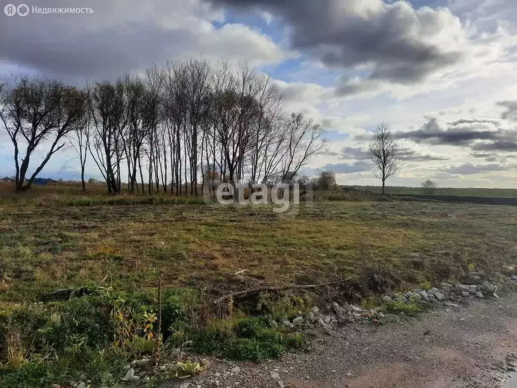 Участок в Зеленоградск, посёлок Сосновка, Ленинградская улица (8 м) - Фото 1