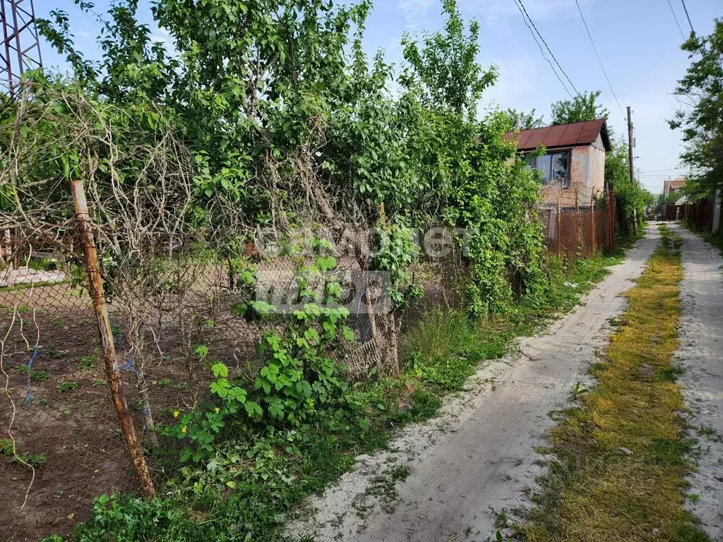 Участок в Курская область, Курск Сельхозработник садовое товарищество, ... - Фото 2