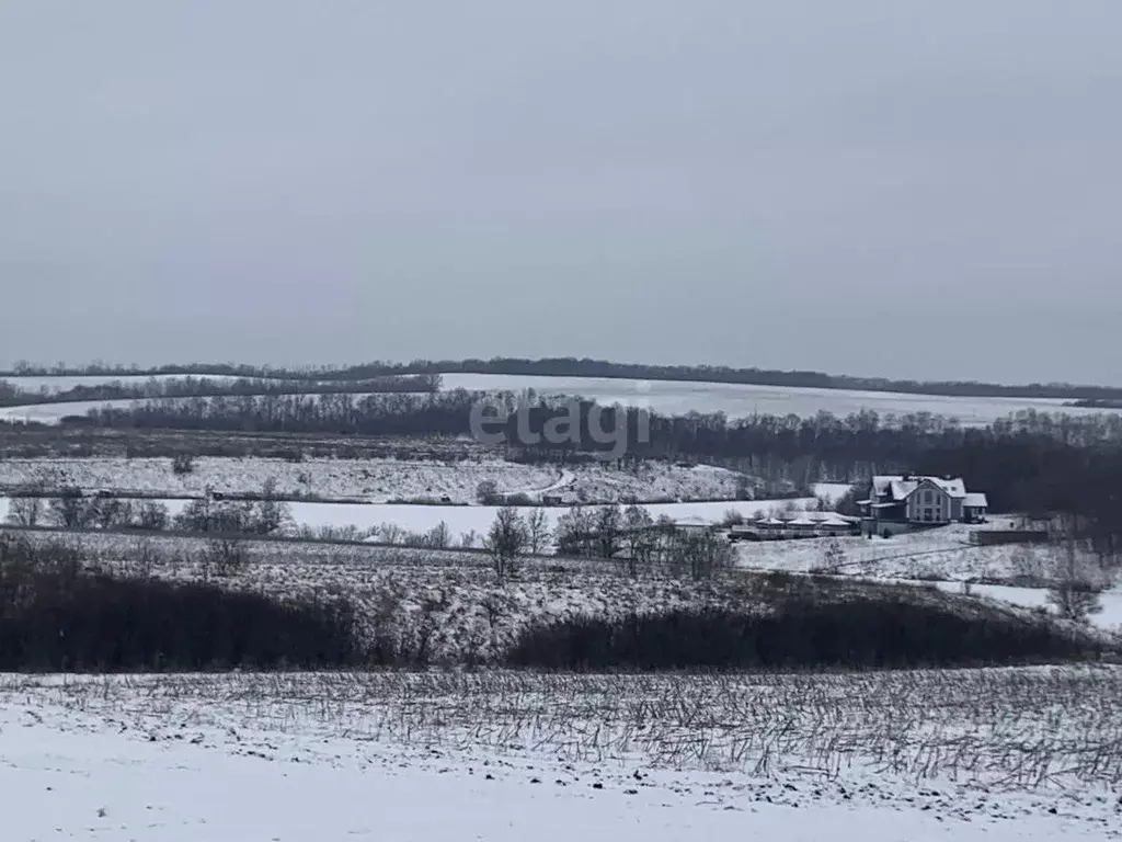 Участок в Белгородская область, Белгородский район, Головинское с/пос, ... - Фото 0