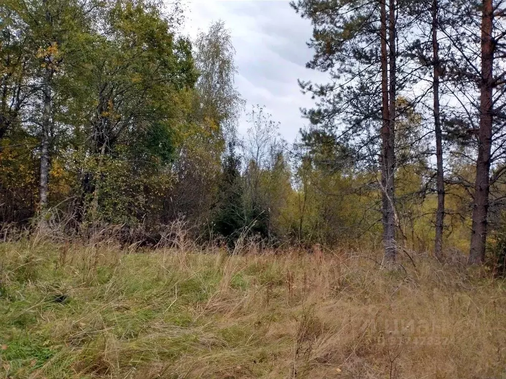 Участок в Ленинградская область, Выборгский район, Советское городское ... - Фото 0
