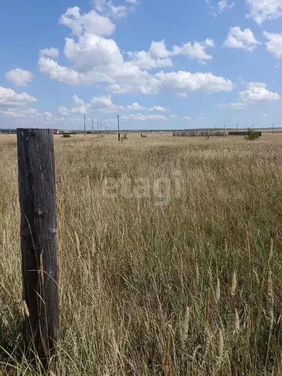 Участок в Хакасия, Алтайский район, с. Белый Яр ул. Некрасова (13.5 ... - Фото 1