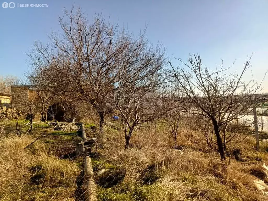 Участок в Сакский район, Ореховское сельское поселение, село Червоное, ... - Фото 1