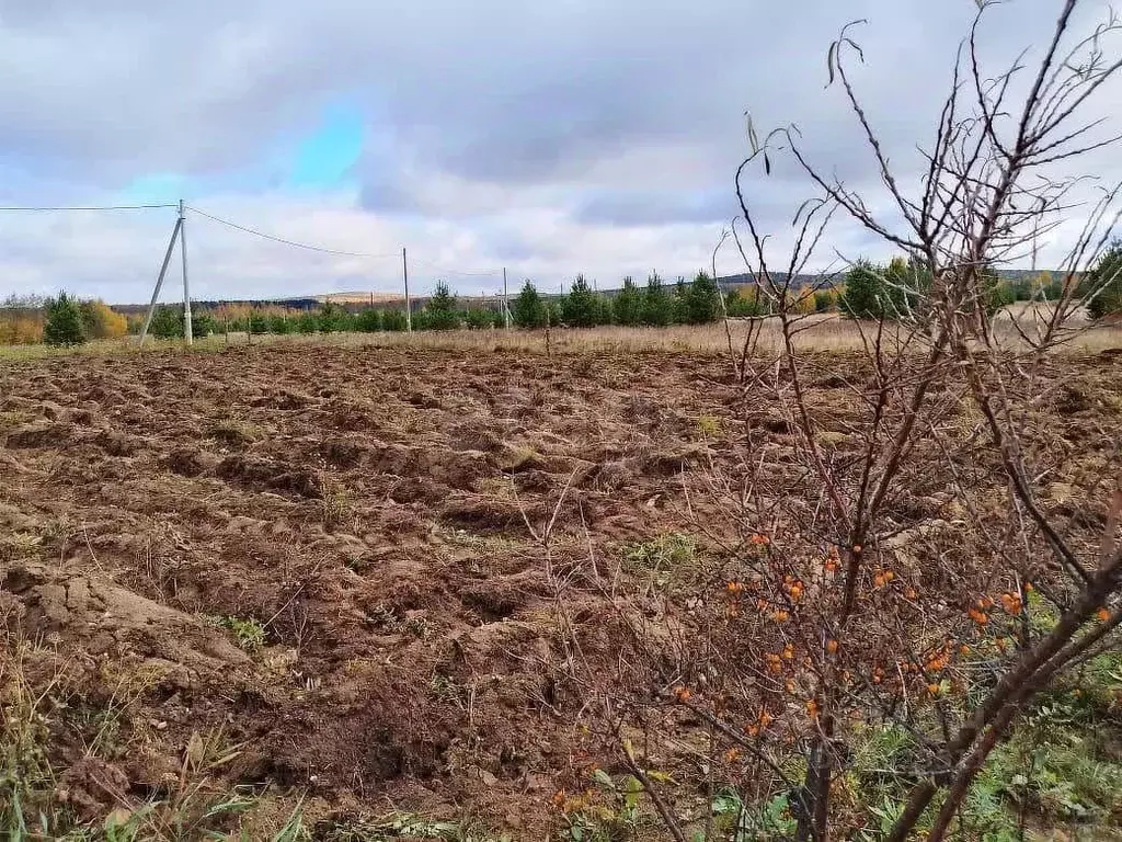 Участок в Свердловская область, Горноуральский муниципальный округ, с. ... - Фото 2