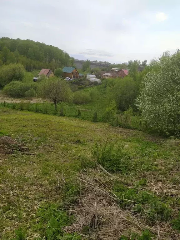 Участок в Новосибирская область, Новосибирский район, с. Раздольное ... - Фото 0