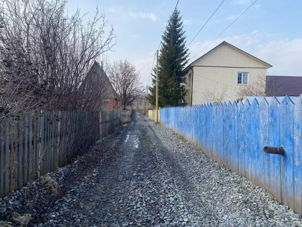 Участок в Курганская область, Кетовский муниципальный округ, Иволга-24 ... - Фото 1