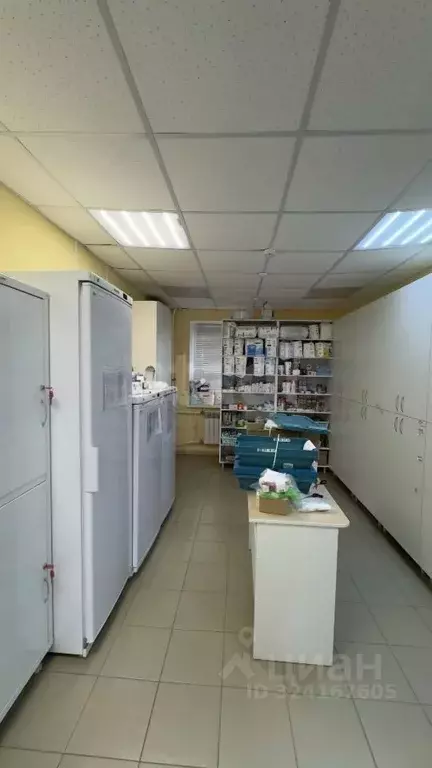 Помещение свободного назначения в Воронежская область, Воронеж ул. ... - Фото 1