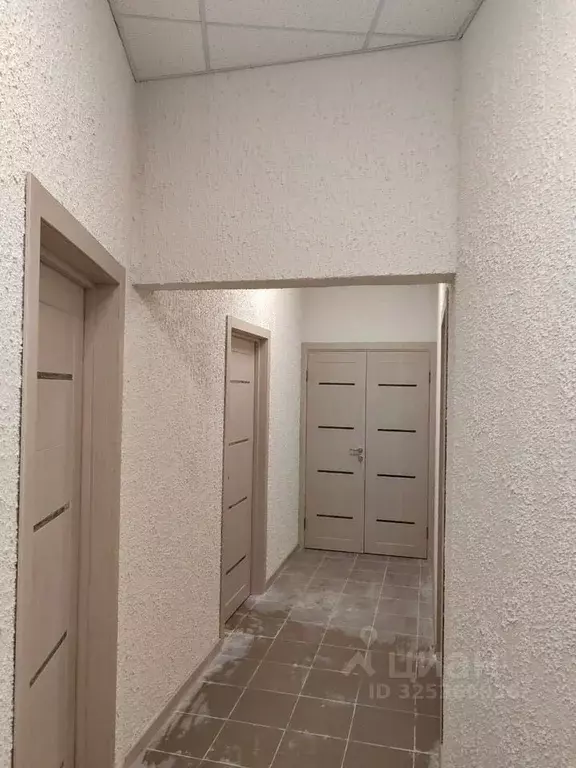 Помещение свободного назначения в Ленинградская область, Всеволожский ... - Фото 2