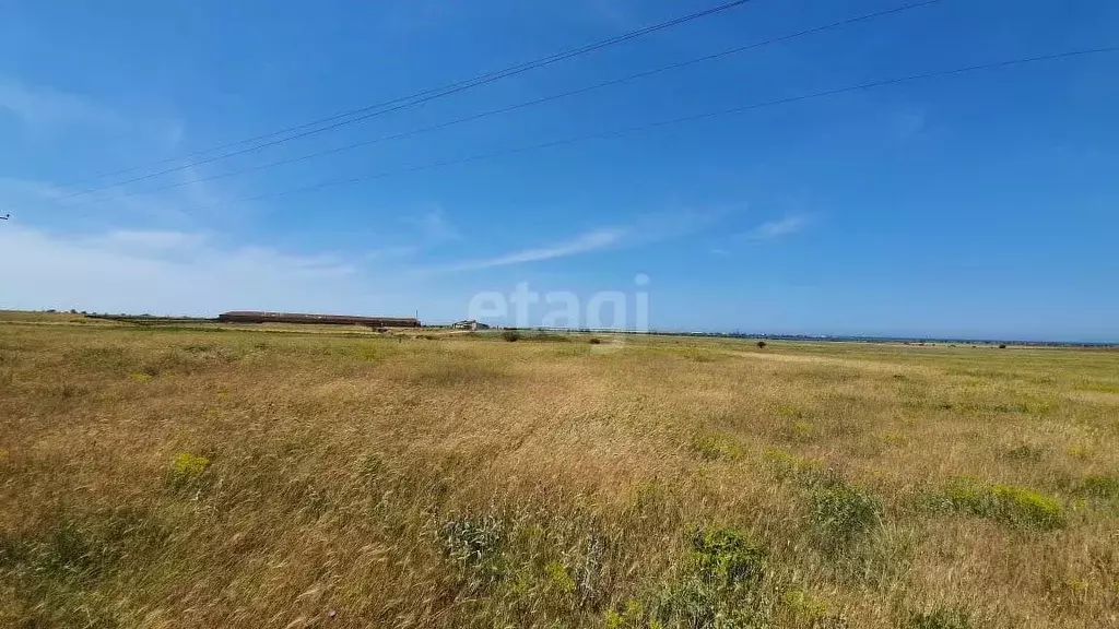 Участок в Крым, Черноморский район, Межводненское с/пос, с. Снежное ... - Фото 1
