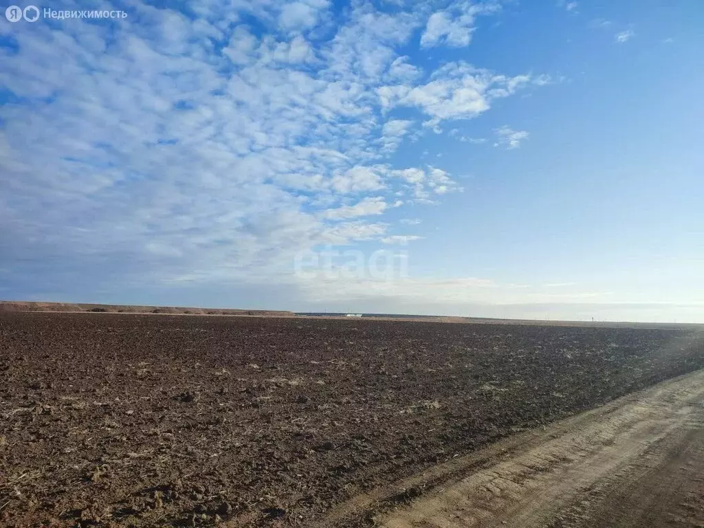 Участок в Сакский район, Суворовское сельское поселение, ОК Нарцисс, ... - Фото 0