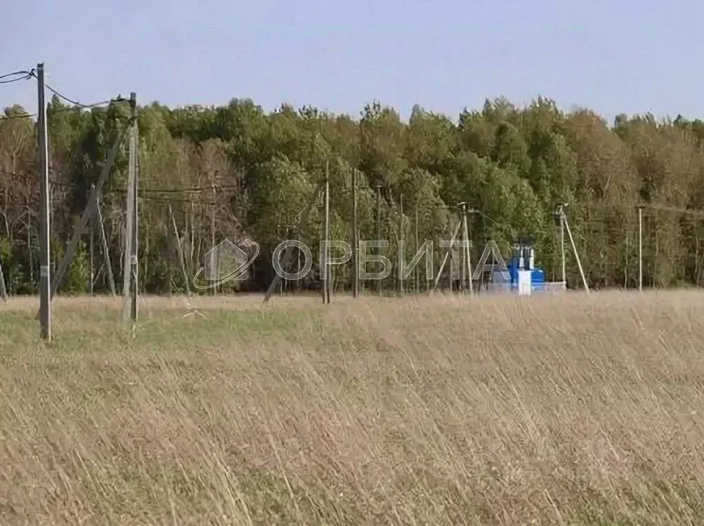 Участок в Тюменская область, Тюменский район, д. Падерина Луговая ул. ... - Фото 0