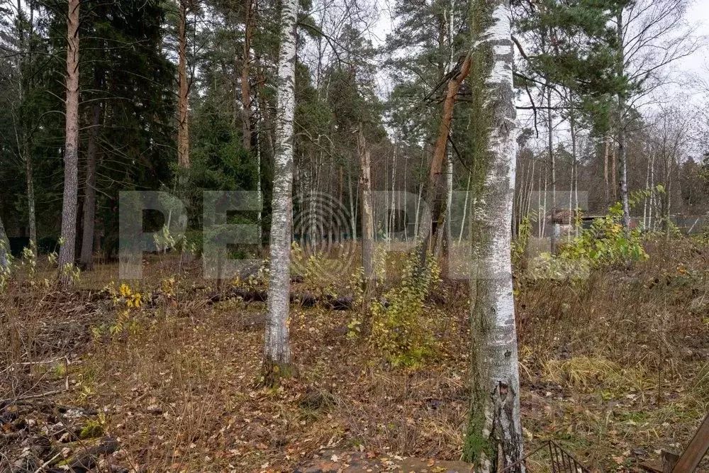 Участок в Московская область, Красногорск городской округ, д. ... - Фото 1