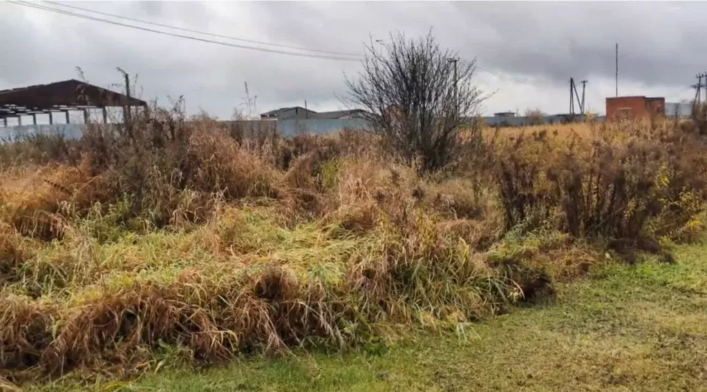 Участок в Московская область, Щелково городской округ, д. Еремино  ... - Фото 2