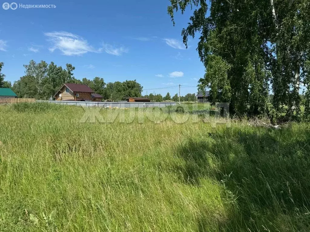 Участок в Новосибирский район, Верх-Тулинский сельсовет (6.14 м) - Фото 0
