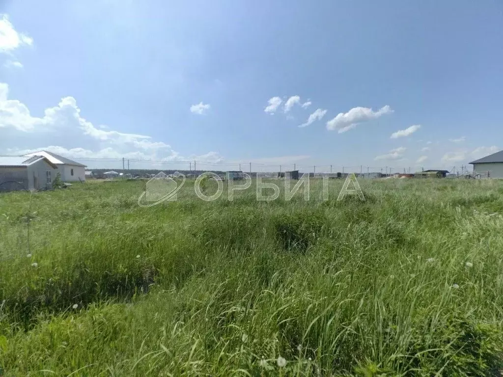 Участок в Тюменская область, Тюменский район, Пятница ТСН ул. Туманная ... - Фото 1