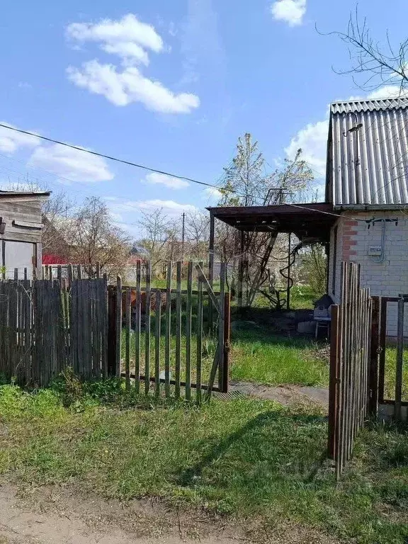 Дом в Воронежская область, Воронеж Березка СНТ, 15-я линия, 723 (56 м) - Фото 1