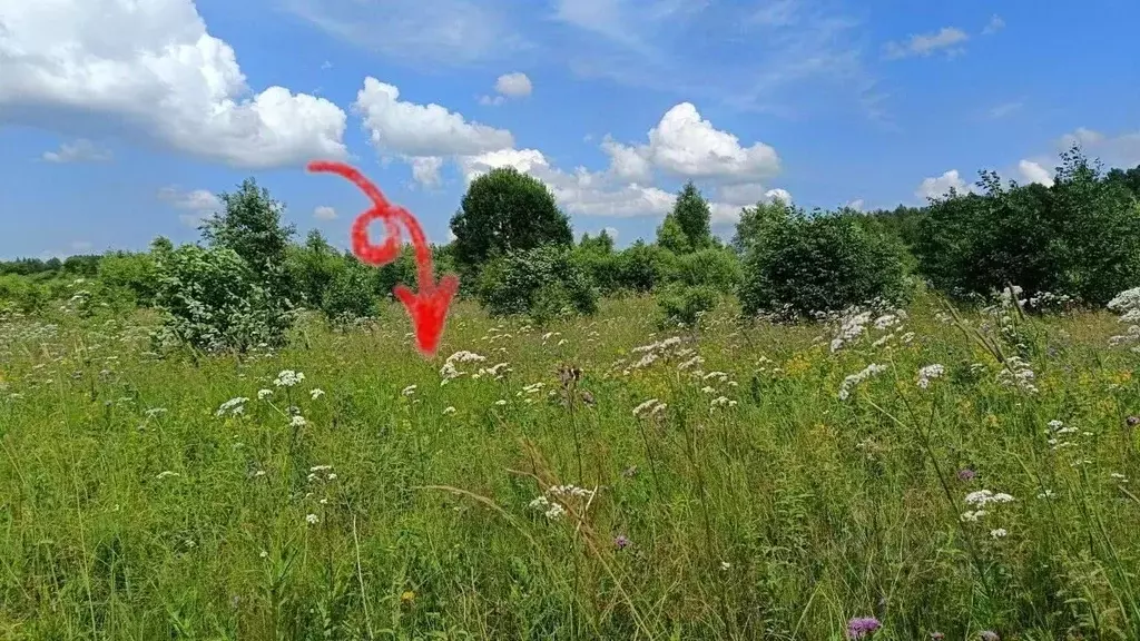 Участок в Московская область, Можайский муниципальный округ, д. ... - Фото 1