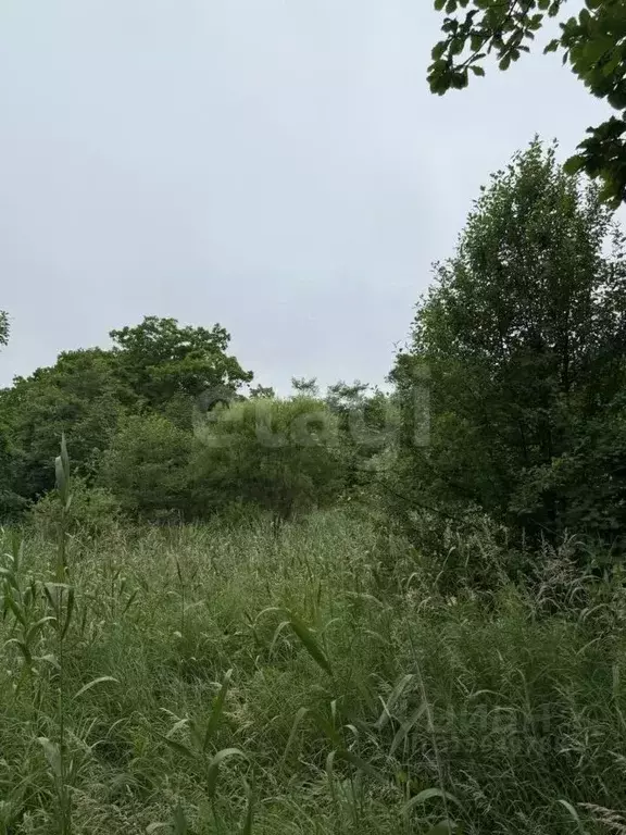 Участок в Приморский край, Надеждинский район, Опережающего ... - Фото 0