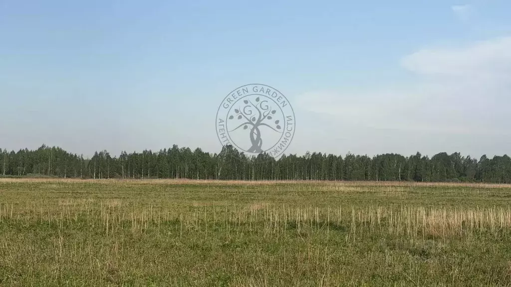 Участок в Свердловская область, с. Байкалово  (22195.0 сот.) - Фото 2