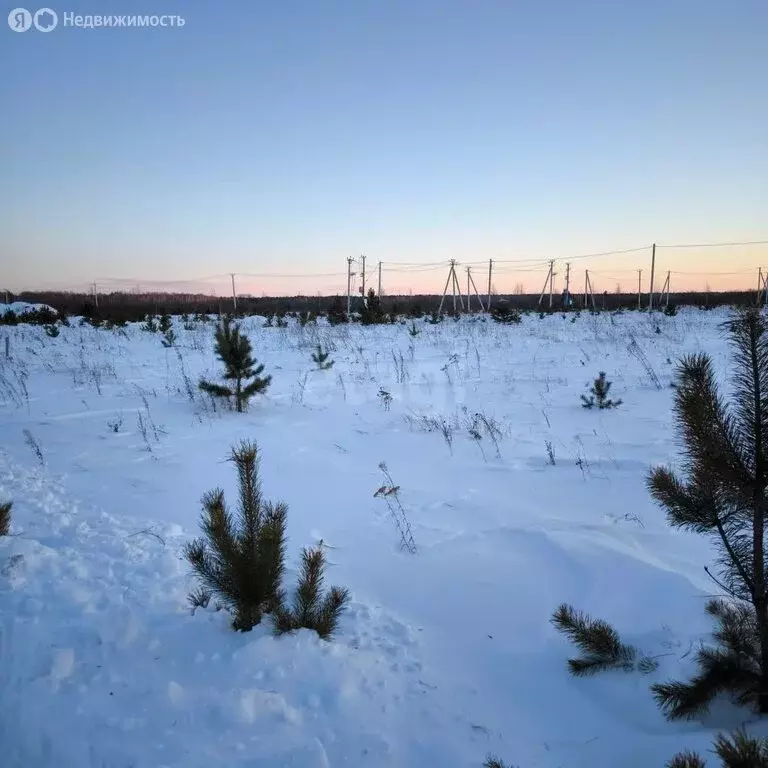 Участок в Тюменский район, село Кулига, микрорайон Кулига-2 (6.49 м) - Фото 1