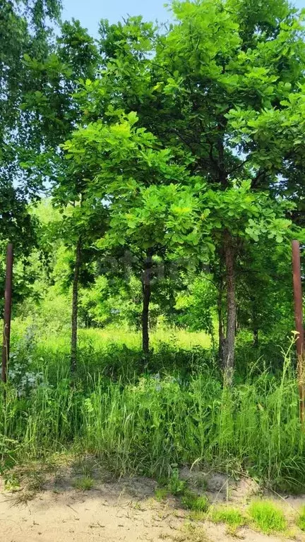 Участок в Башкортостан, Иглинский район, Акбердинский сельсовет, Южный ... - Фото 2