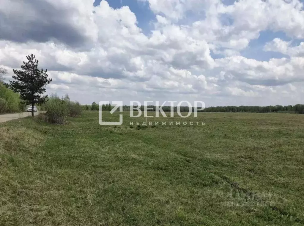 Участок в Ивановская область, Ивановский район, Беляницкое с/пос, д. ... - Фото 2