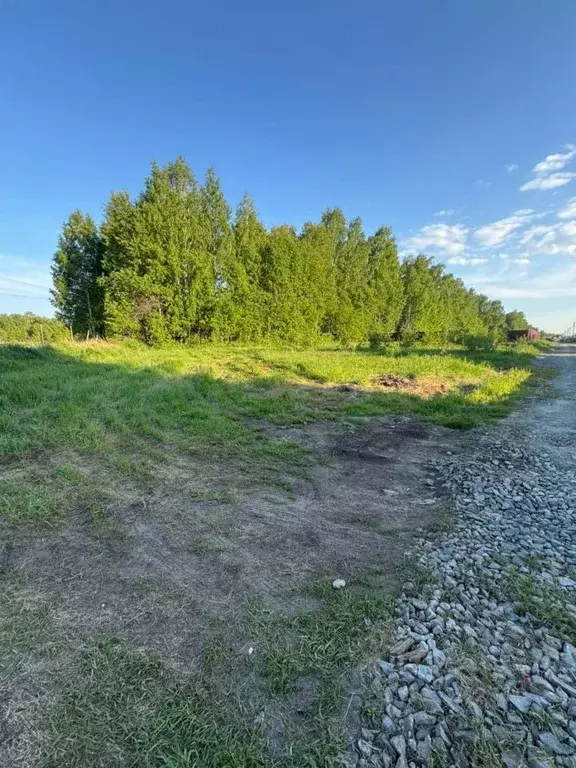 Участок в Новосибирская область, Мошковский район, Барлакский ... - Фото 0