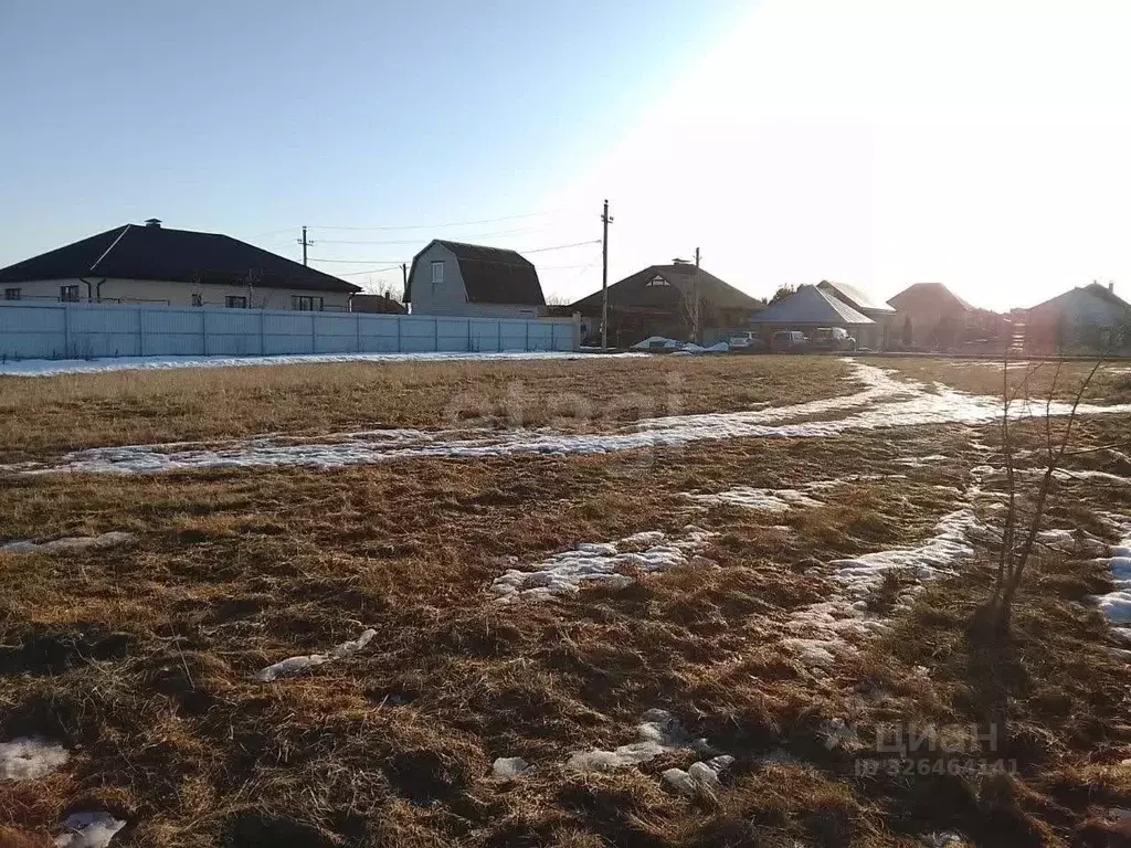 Участок в Воронежская область, Новоусманский район, пос. Отрадное ул. ... - Фото 1