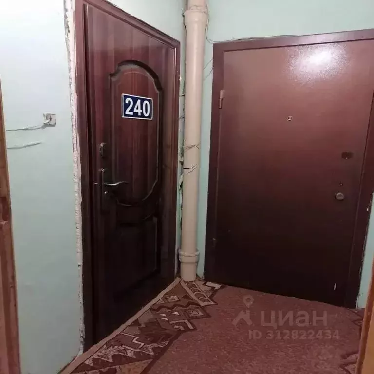 1-к кв. Ленинградская область, Сертолово Всеволожский район, ул. ... - Фото 2