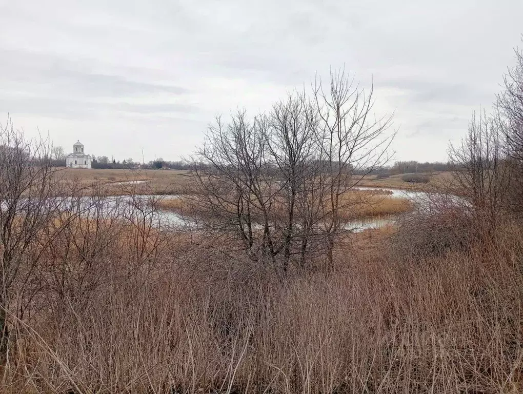 Участок в Тамбовская область, Никифоровский муниципальный округ, с. ... - Фото 1