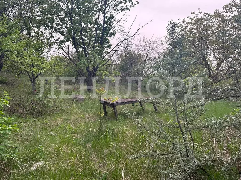 Участок в Ростовская область, Новочеркасск № 2 АО Магнит садовое ... - Фото 1