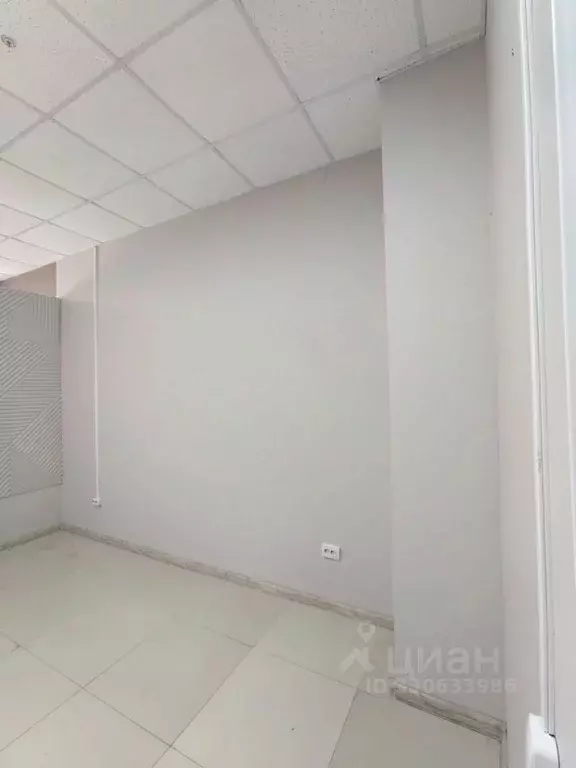 Офис в Новосибирская область, Новосибирск Академгородок мкр, ул. ... - Фото 2