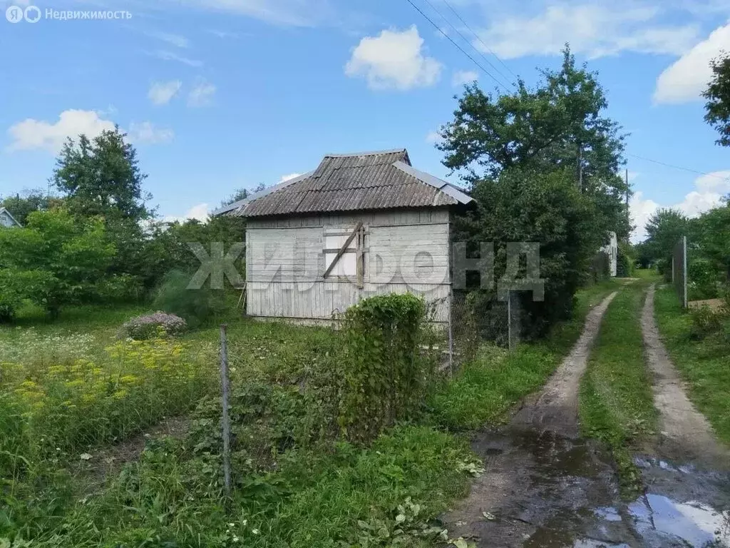 Участок в Брянск (11 м) - Фото 1