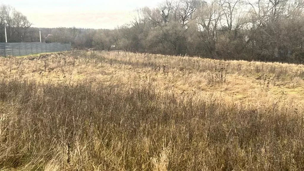 Участок в Московская область, Ступино городской округ, д. Тишково ул. ... - Фото 1