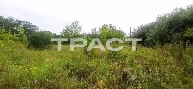 Участок в Воронежская область, Рамонский район, Русскогвоздевское ... - Фото 1